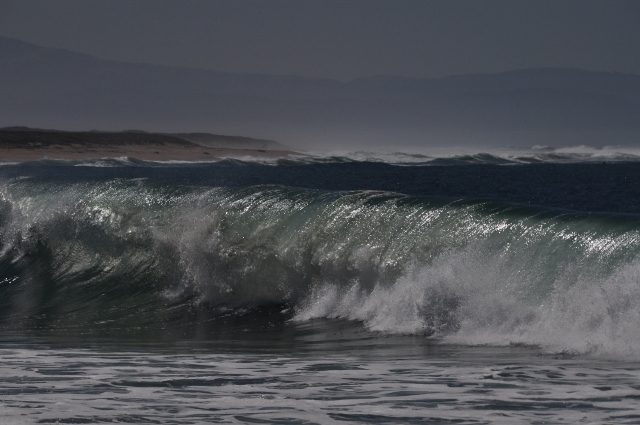 Moss Landing beach